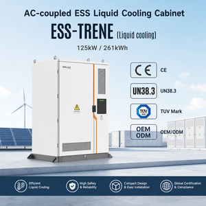 125kW 261kWh Battery Storage System LFP Explosion Proof Aerosol Suppression