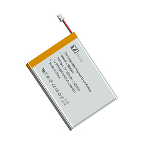 Custom Low Temperature Rechargeable Battery for Heating Garments