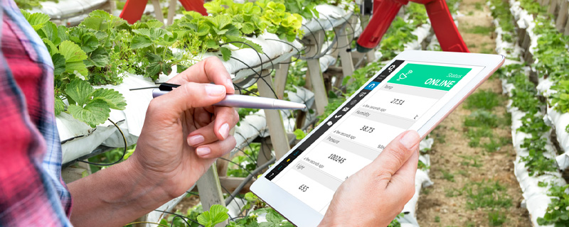Smart and sustainable battery design practices at Excell Battery