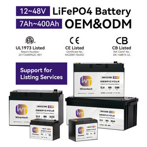 Rechargeable LiFePO4 Solar Storage Battery