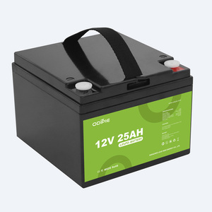 Custom 12V 12.8V 25Ah Lithium Iron Phosphate Battery Lightweight LiFePO4 Battery