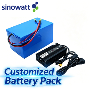 Customized Battery Pack with BMS Li-ion LiFePO4